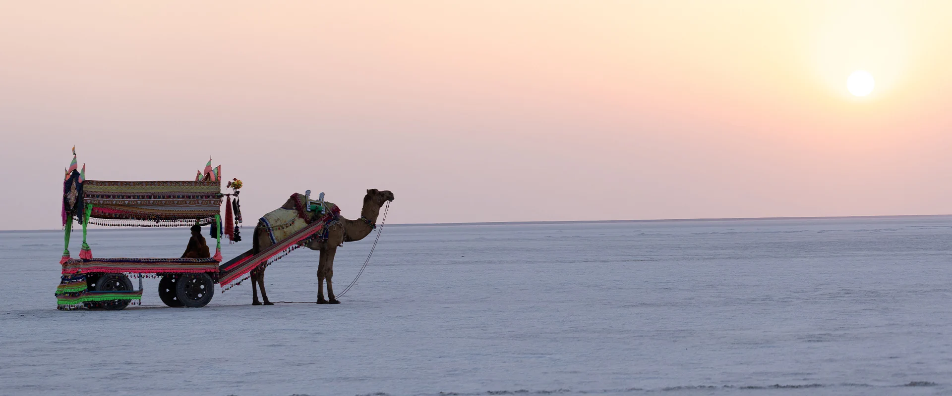 Things to Do in Dholavira in the Great Rann of Kutch, Gujarat